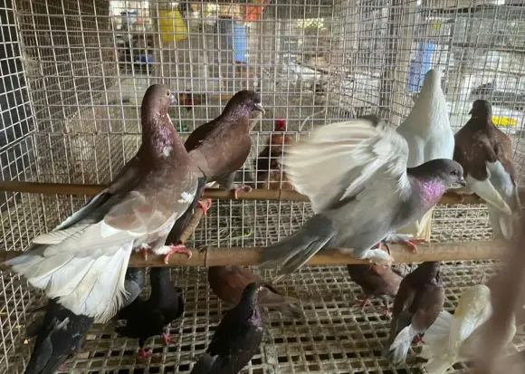 Chia sẻ kinh nghiệm