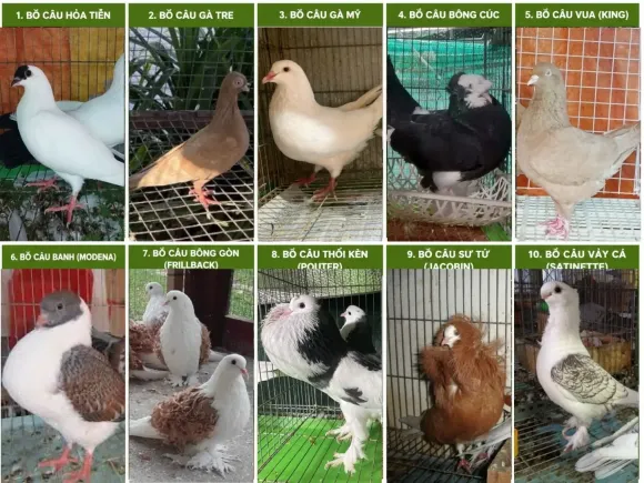 Chia sẻ kinh nghiệm