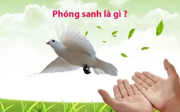 Chia sẻ kinh nghiệm