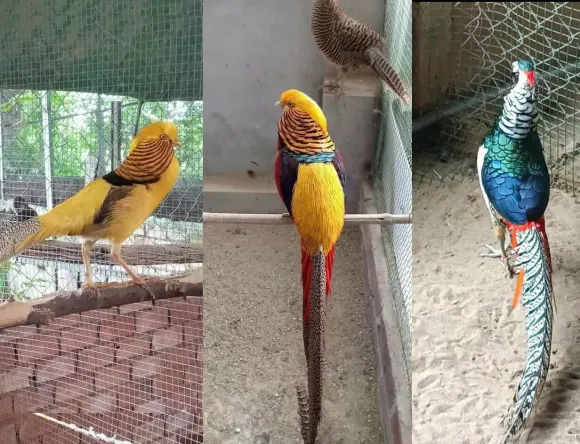 Chia sẻ kinh nghiệm