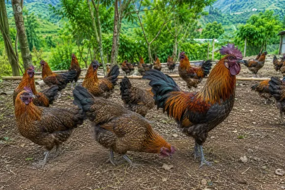 Chia sẻ kinh nghiệm