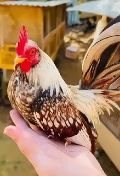 Chia sẻ kinh nghiệm