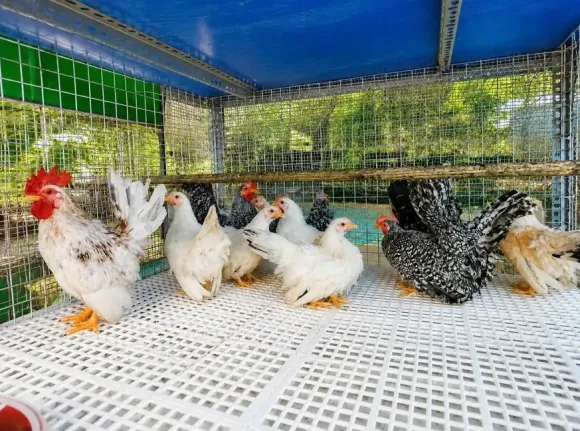 Bài viết mới nhất