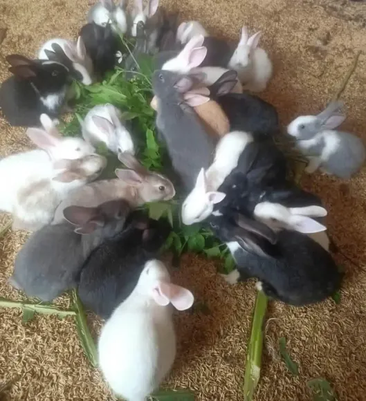 Chia sẻ kinh nghiệm