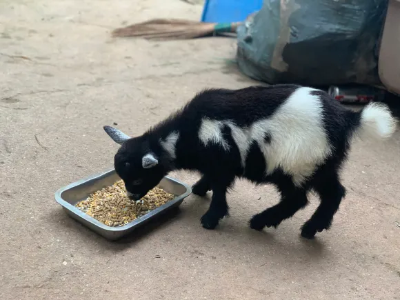 Bài viết mới nhất