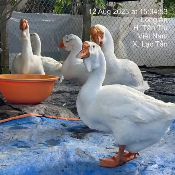 Chia sẻ kinh nghiệm