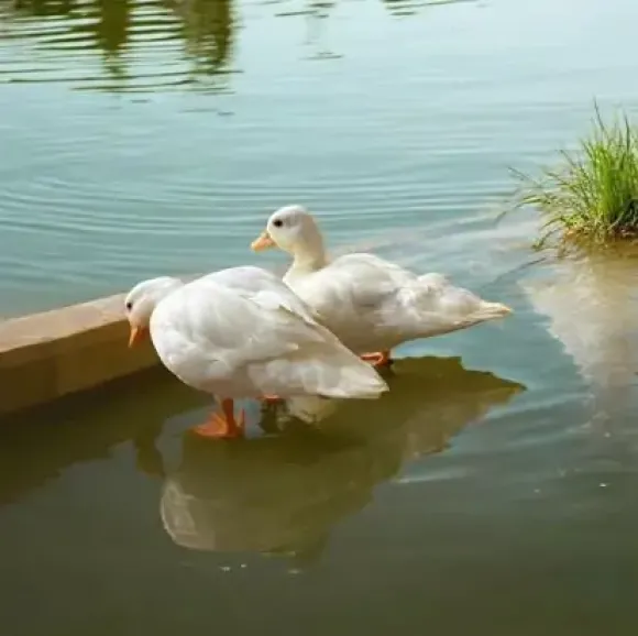 Chia sẻ kinh nghiệm