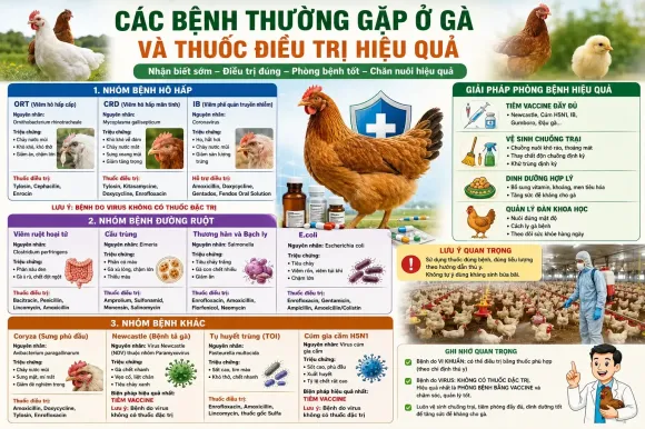 Kỹ thuật Chăn nuôi