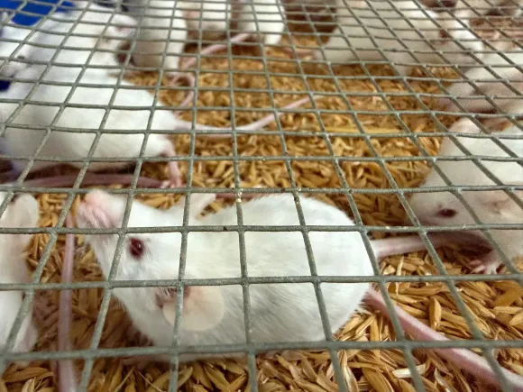Chia sẻ kinh nghiệm