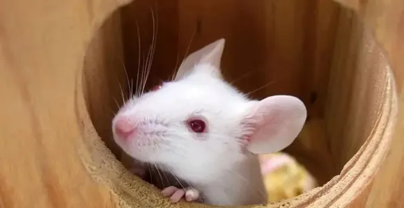 Bài viết mới nhất
