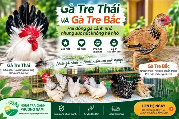 Chia sẻ kinh nghiệm