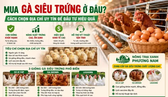 Chia sẻ kinh nghiệm