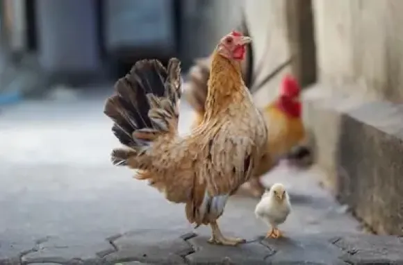 Chia sẻ kinh nghiệm