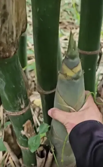 Bài viết mới nhất