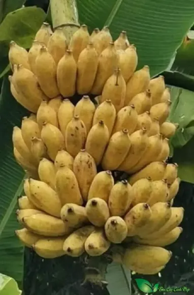 Chia sẻ kinh nghiệm