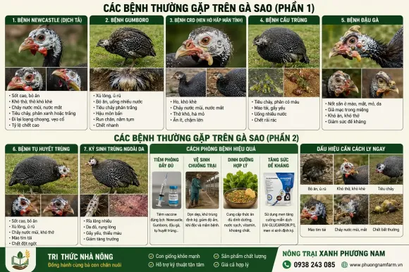 TRI THỨC NHÀ NÔNG