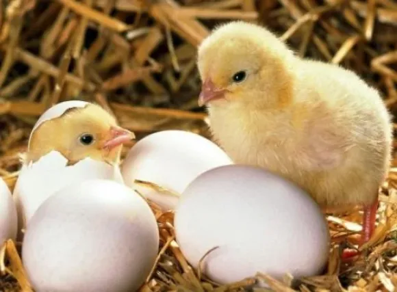 Chia sẻ kinh nghiệm