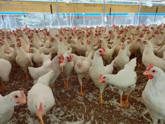 Chia sẻ kinh nghiệm