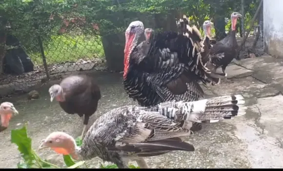 Chia sẻ kinh nghiệm