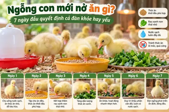 Bài viết mới nhất