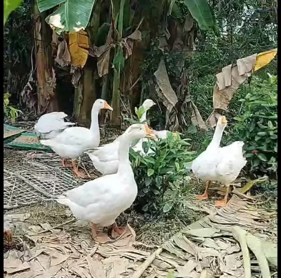 Chia sẻ kinh nghiệm