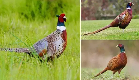 Chia sẻ kinh nghiệm