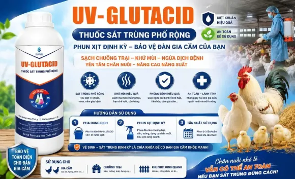 Kỹ thuật Chăn nuôi