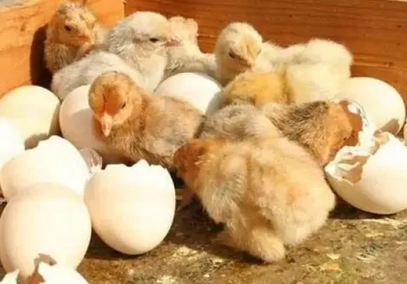 Chia sẻ kinh nghiệm