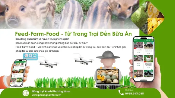 Mô hình Nông nghiệp