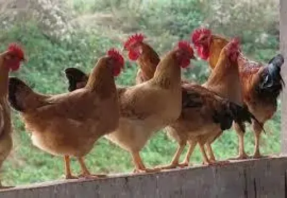 Chia sẻ kinh nghiệm