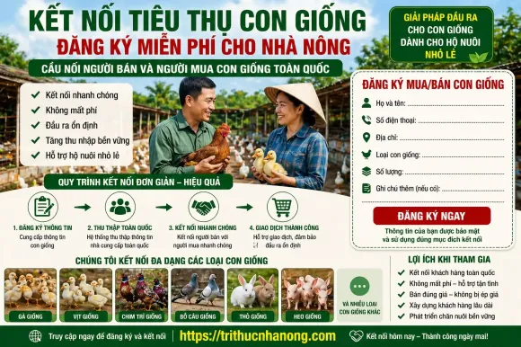 Mô hình Nông nghiệp
