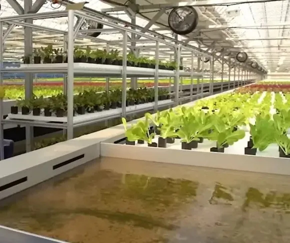 Mô hình Nông nghiệp