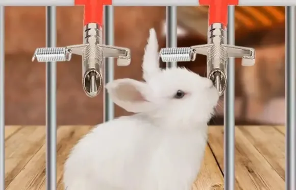 Mô hình Nông nghiệp