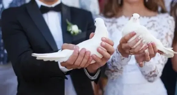 Chia sẻ kinh nghiệm