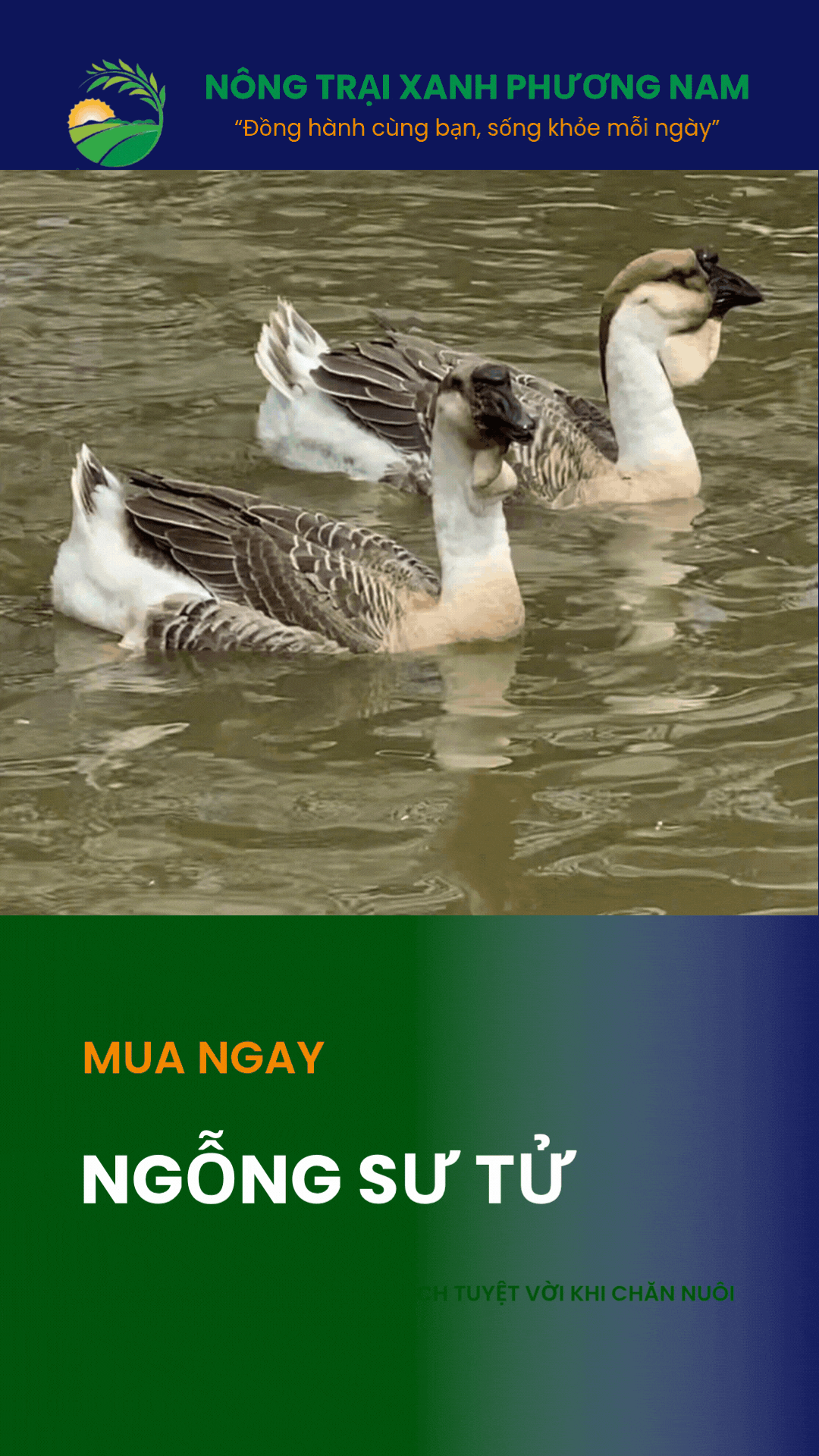 TRI THỨC NHÀ NÔNG