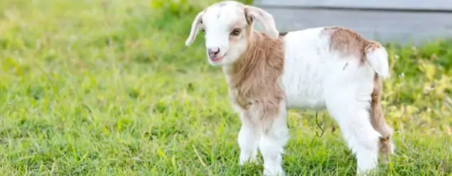 TRI THỨC NHÀ NÔNG