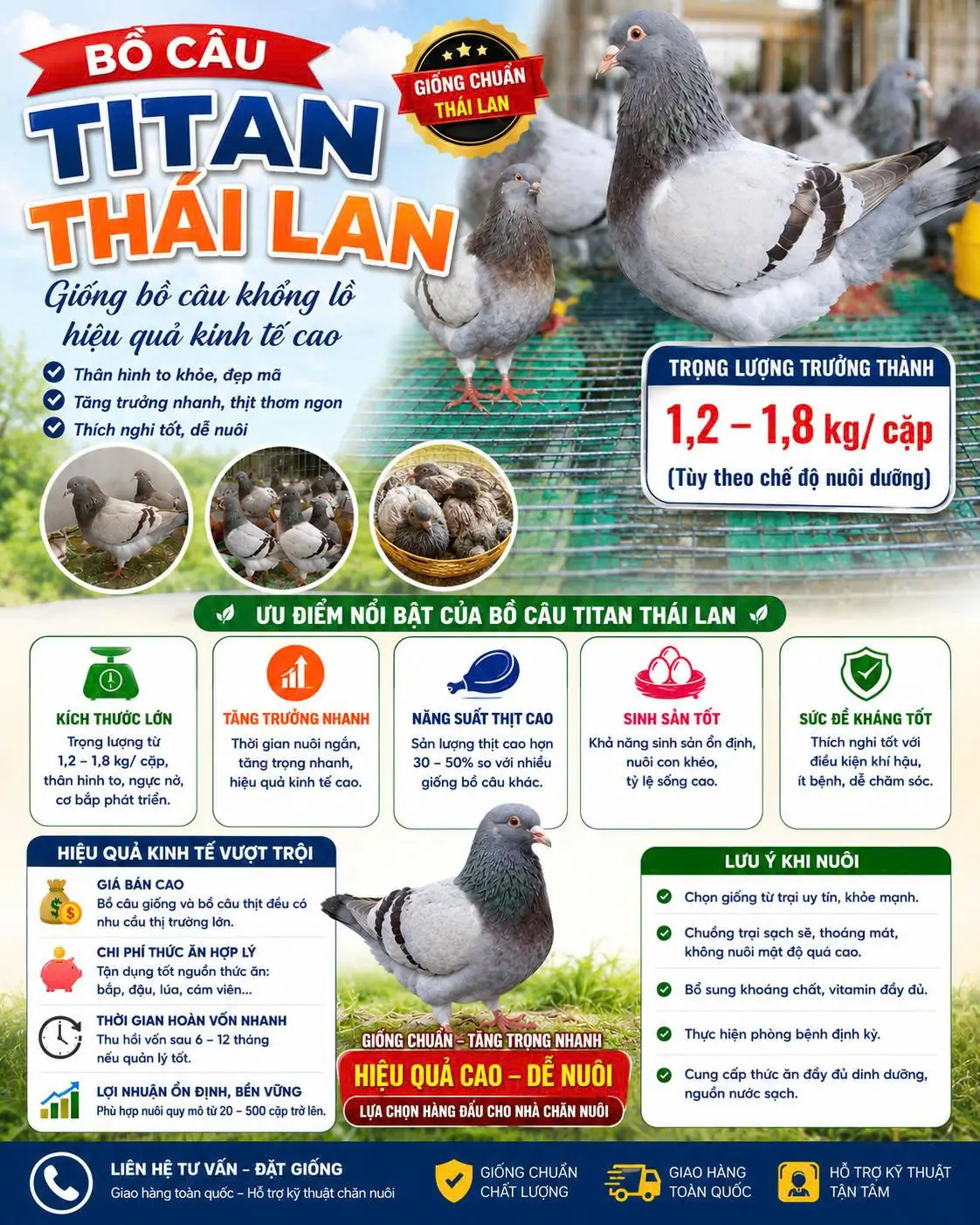 Kỹ thuật nu&ocirc;i bồ c&acirc;u Titan Th&aacute;i