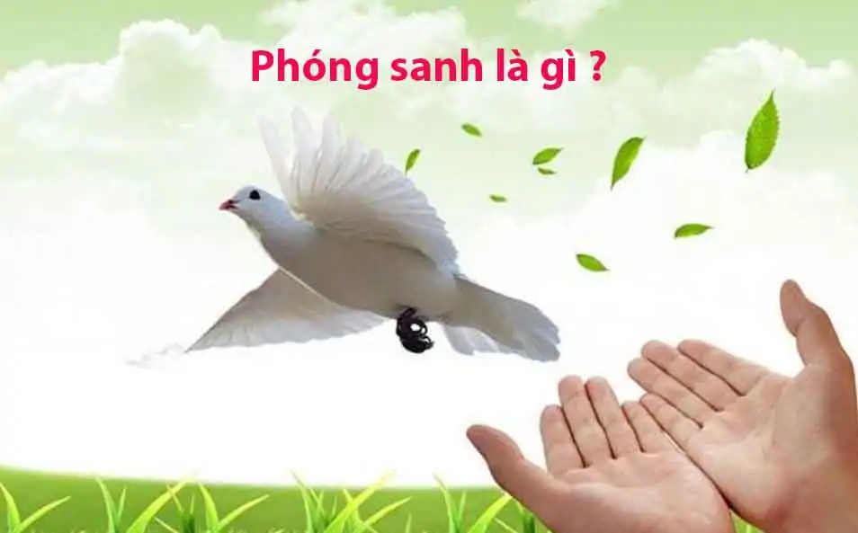 TRI THỨC NHÀ NÔNG