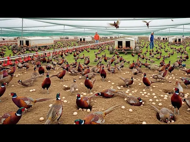 TRI THỨC NHÀ NÔNG