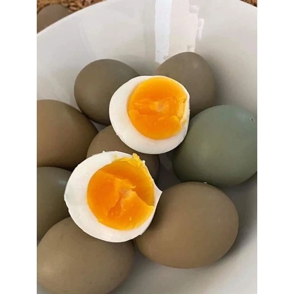 TRI THỨC NHÀ NÔNG