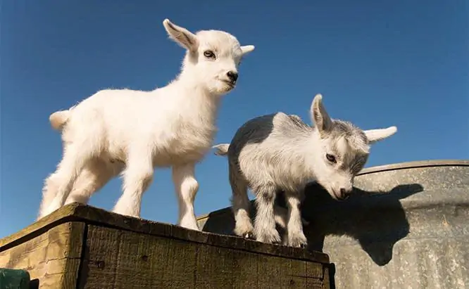 TRI THỨC NHÀ NÔNG