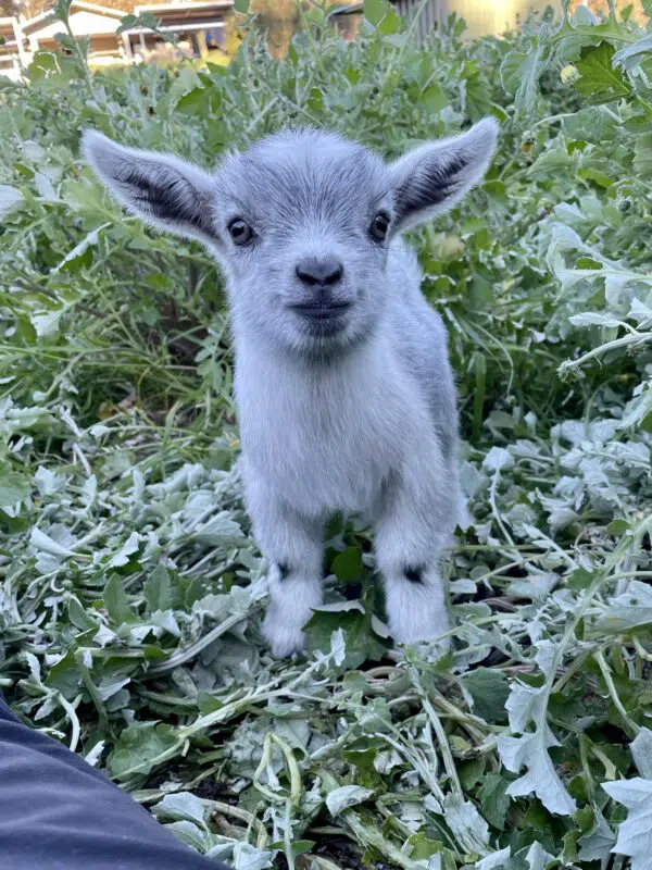 TRI THỨC NHÀ NÔNG