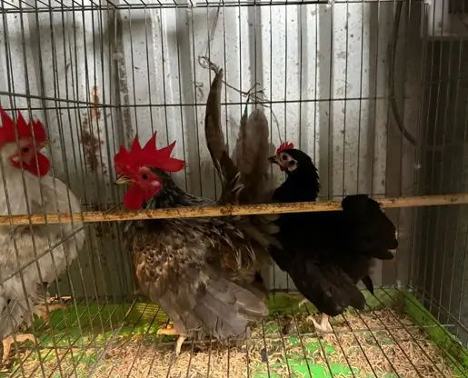 TRI THỨC NHÀ NÔNG