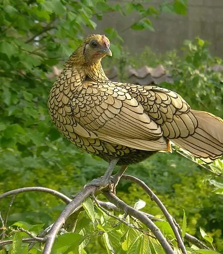 TRI THỨC NHÀ NÔNG