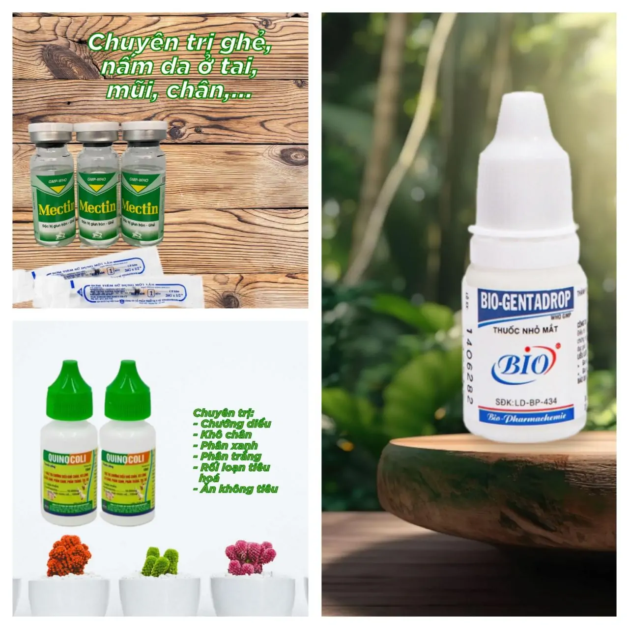 HƯỚNG DẪN CHĂM S&Oacute;C GIA CẦM V&Agrave; PH&Ograve;NG TRỊ C&Aacute;C BỆNH THƯỜNG GẶP