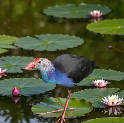 TRI THỨC NHÀ NÔNG