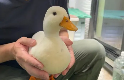 TRI THỨC NHÀ NÔNG