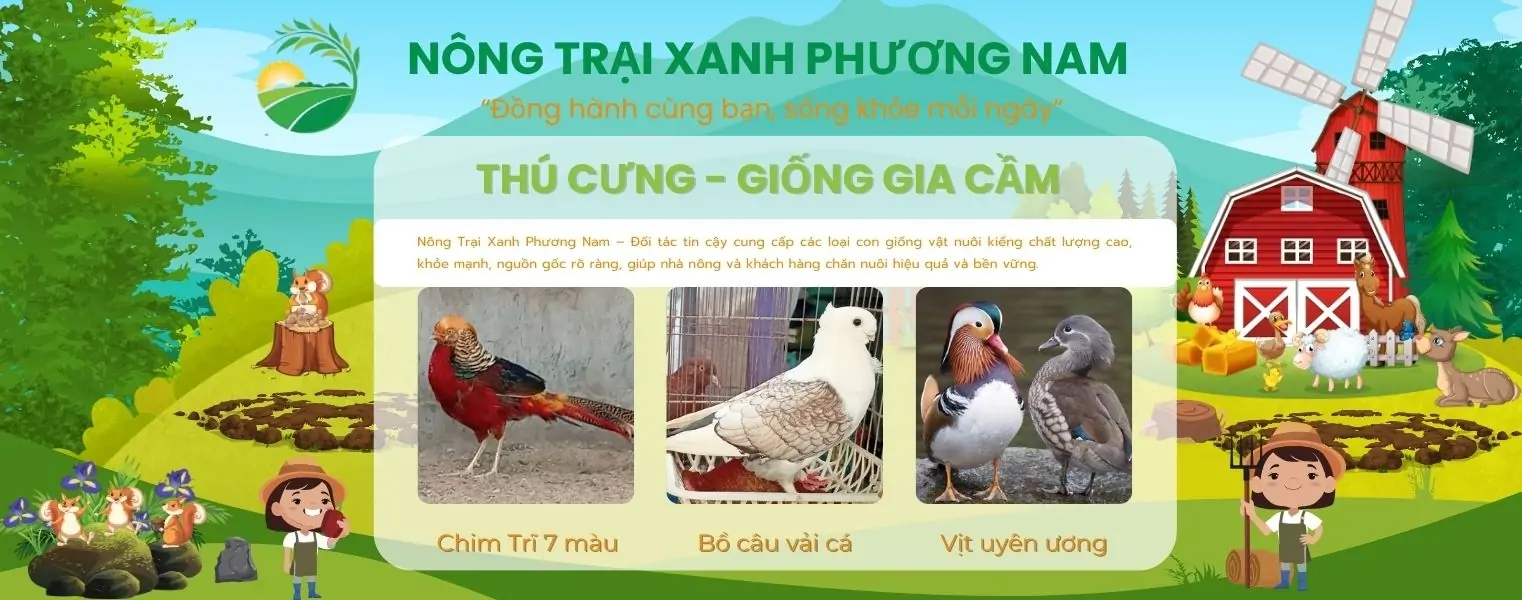Giống Thỏ New Zealand