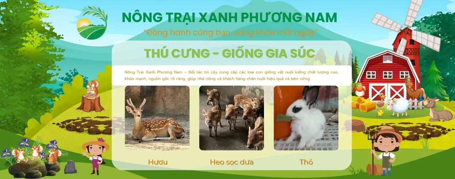 Địa chỉ trại giống uy t&iacute;n miền Nam