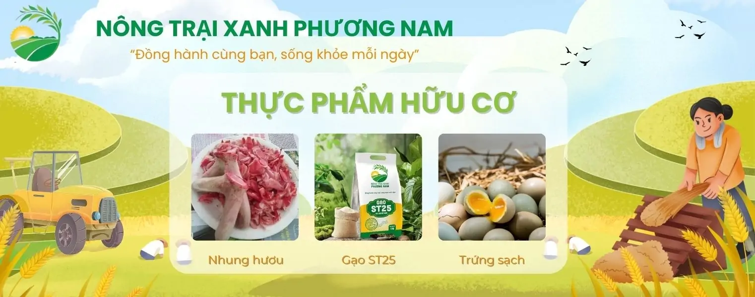 Địa chỉ trại giống uy t&iacute;n miền Nam